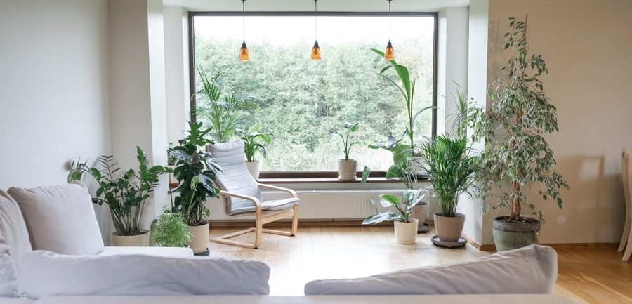 Phong cách Eco là gì? Xu hướng sống xanh Eco-Chic trong nội thất
