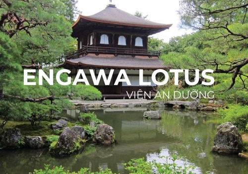 Engawa Lotus - Dự án Viện an dưỡng tại Củ Chi